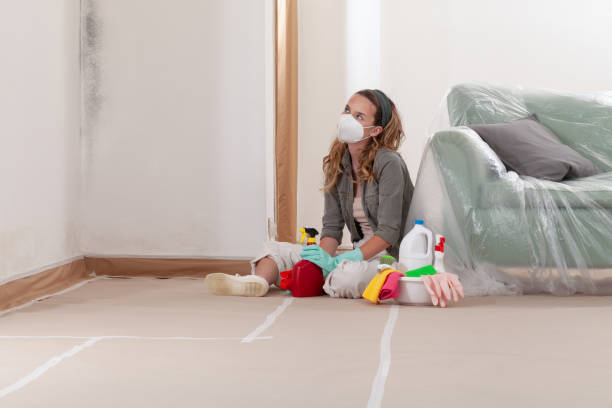 Reliable Mold Remediation contractor in Dunkirk, NY by Car Mold Remediation